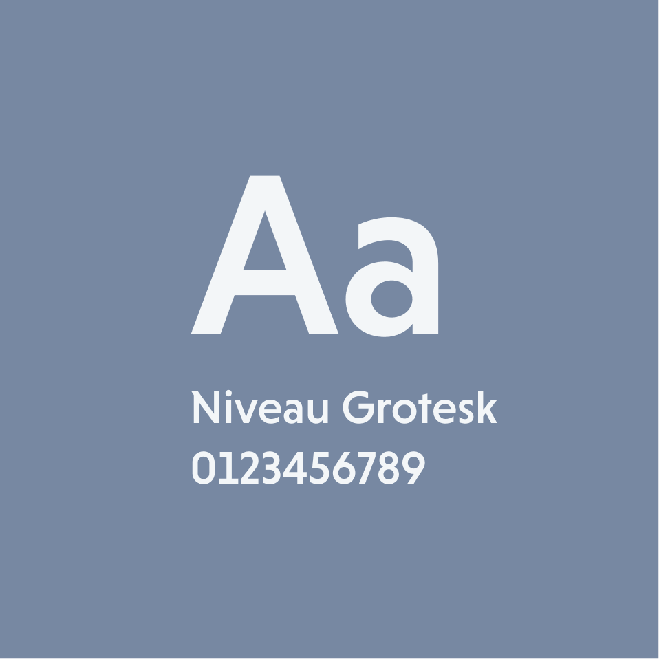 Privilee brand typography – Font system showcasing modern, elegant typefaces used across website and app interfaces